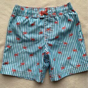 Circo Swim Shorts with Blue Stripes and Flamingos size 3T